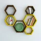 Brown And Yellow