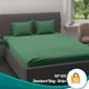 Green__Bedsheet Adda