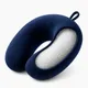 Blue__Homerz 