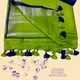 Green__SILK TEXTILES BHAGALPUR