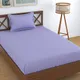 Purple__Goodprize