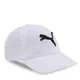 White-BigCat