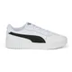 White-Black-Silver