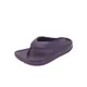 PurpleCharcoal