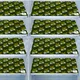 Green__E-Retailer