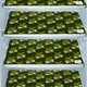 Green__E-Retailer