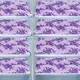 Purple__E-Retailer