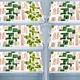 Green__E-Retailer
