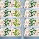 Green__E-Retailer