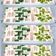 Green__E-Retailer