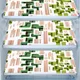 Green__E-Retailer