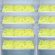 Yellow__E-Retailer