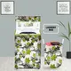 Green__E-Retailer
