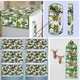 Green__E-Retailer