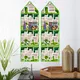 Green__E-Retailer