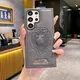 Lion Grey__AS PLATINUM