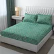 LightGreen__Aaho Decor