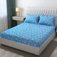 Aqua__Aaho Decor