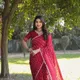 RED__NARI SRINGAAR