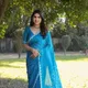 TEAL__NARI SRINGAAR