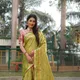 LIGHT GREEN__NARI SRINGAAR