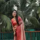 PEACH__NARI SRINGAAR
