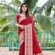 RED__NARI SRINGAAR