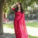 PINK__NARI SRINGAAR