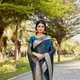 TEAL__NARI SRINGAAR