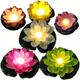 Set of 18__Krevia