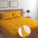 Mango__Wellnest