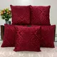 MAROON__Wellnest