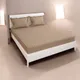 Multicolor__Wellnest