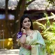 Pista__Royal Rajgharana Sarees