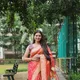 Orange__Royal Rajgharana Sarees