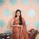 Orange__Royal Rajgharana Sarees