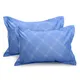 Blue__Huesland