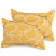 Yellow__Huesland