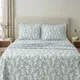 White & Teal__Huesland