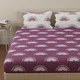 Grape Purple & White__Huesland