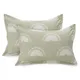 Basil Green & White__Huesland