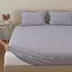 Seal Grey & White