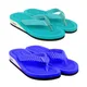 Aqua::Royal Blue__DASHNY
