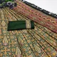 Dark Green__INDIAN LINEN SAREE