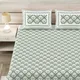 GREEN__Jaipuri bedsheet