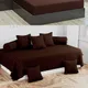 Brown__Wellnest