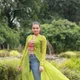Parrot__Kachhadiya Creation