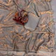 Grey__Pineleaf Creation