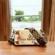 Beige__Fine Design