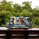 Teal__Fine Design